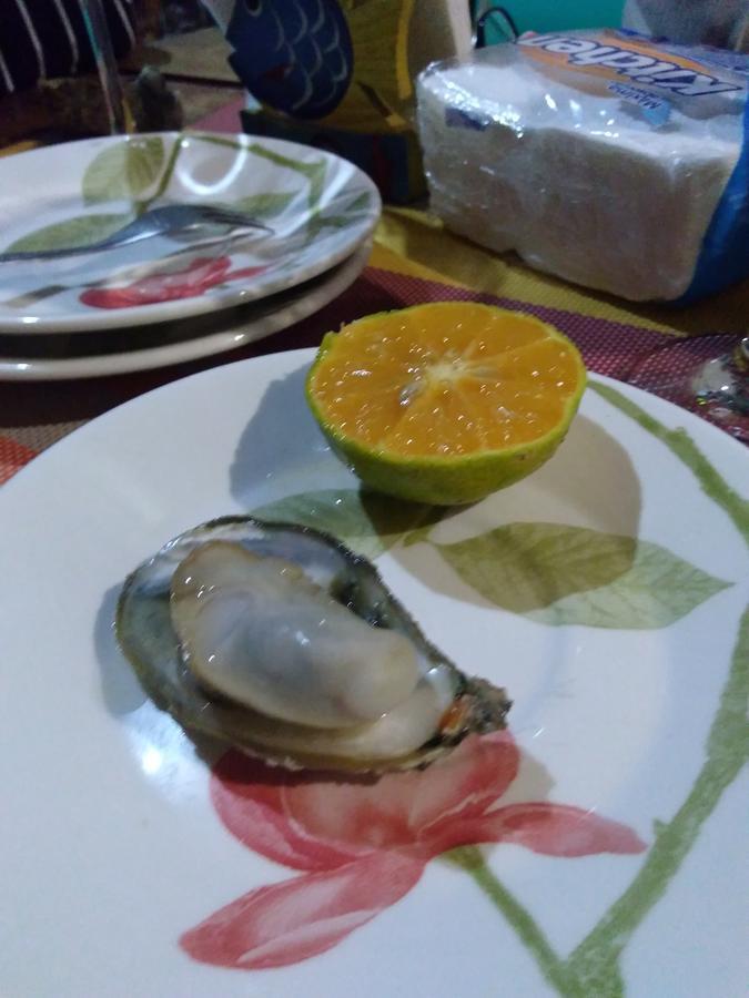 民宿 Casa Dos Acores B&B Florianopolis